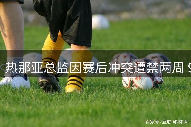 热那亚总监因赛后冲突遭禁两周 9月8日前不得履职